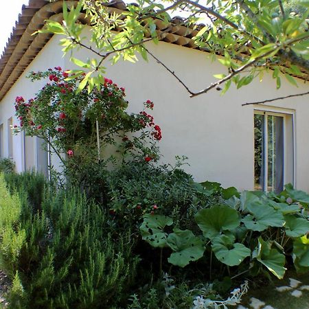 Le 275 Villa ลากอลล์-ซูร์-ลู ภายนอก รูปภาพ